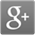 Google plus logo